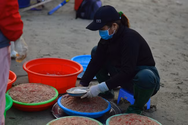  Mùa ruốc bắt đầu từ tháng 11 âm lịch năm trước đến hết tháng 3 âm lịch năm sau.