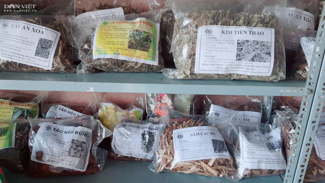 Cơ sở dược liệu Hải Trang chuyên kinh doanh các sản phẩm như: chè dung, chè vằng, cà gai leo, giảo cổ lam, đồ rừng…