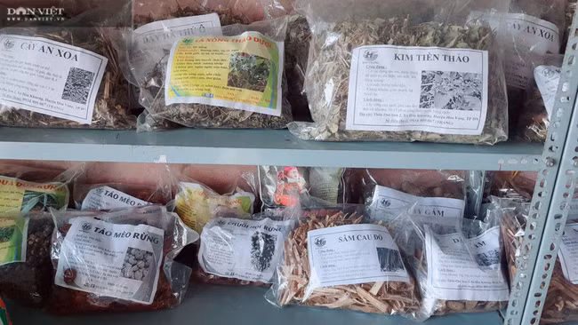 Cơ sở dược liệu Hải Trang chuyên kinh doanh các sản phẩm như: chè dung, chè vằng, cà gai leo, giảo cổ lam, đồ rừng…