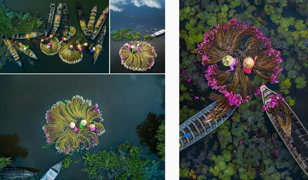 Loạt ảnh rửa hoa súng trên sông, trong đó bức ''Hoa trên nước'' (góc dưới, trái) đạt giải nhất hạng mục 'Vui vẻ' giải Skypixel 2019; giải nhất hạng mục 'Con người' giải Drone Siena Award 2019... (Ảnh: NVCC) Loạt ảnh rửa hoa súng trên sông, trong đó bức ''Hoa trên nước'' (góc dưới, trái) đạt giải nhất hạng mục 'Vui vẻ' giải Skypixel 2019; giải nhất hạng mục 'Con người' giải Drone Siena Award 2019... (Ảnh: NVCC)