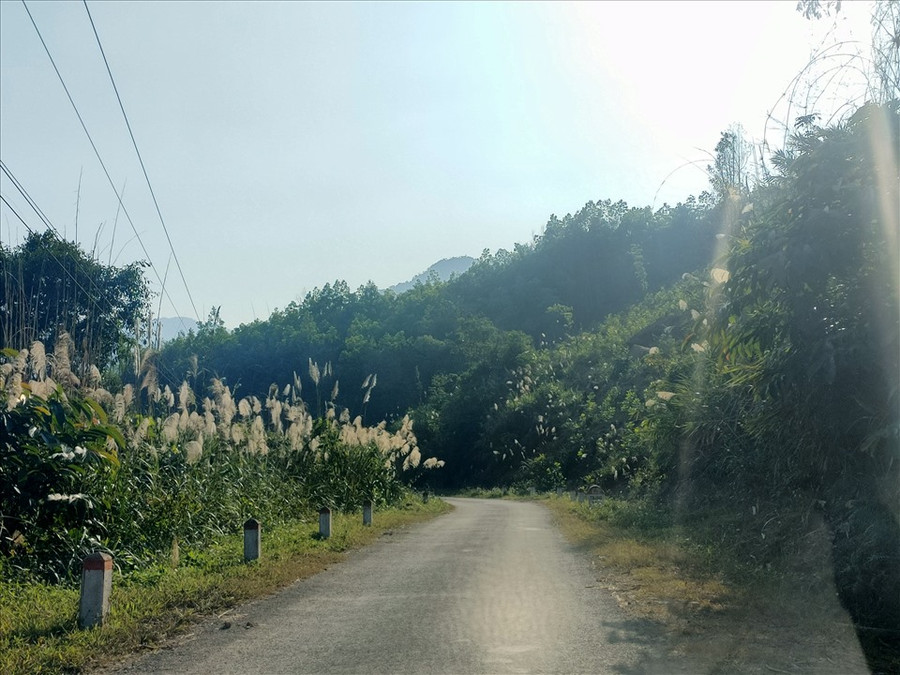 Con đường dẫn vào thác với vẻ đẹp hoang sơ của cảnh vật núi rừng. Ảnh: Q.D Con đường dẫn vào thác với vẻ đẹp hoang sơ của cảnh vật núi rừng. Ảnh: Q.D