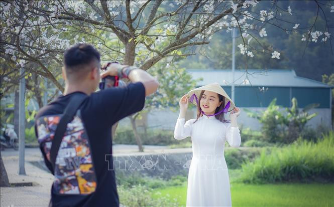 Nhiều bạn trẻ thích thú lưu giữ lại những khoảnh khắc với hoa ban. Nhiều bạn trẻ thích thú lưu giữ lại những khoảnh khắc với hoa ban.