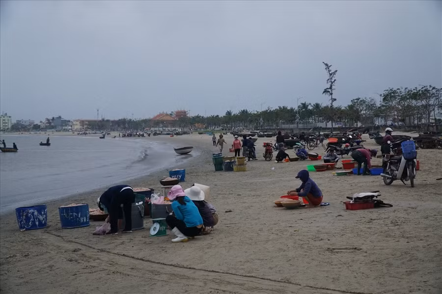 Từng thúng ruốc tươi sau khi được ngư dân đánh bắt bờ sẽ được thương lái đến thu mua với giá từ 20-30 ngàn đồng/kg. Ảnh: HL