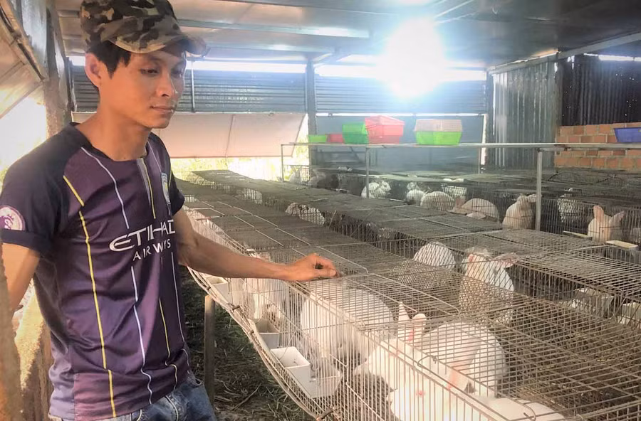 Ông Trương Công Quân-Chủ nhiệm Nông hội chăn nuôi thỏ bên chuồng thỏ của mình. Ảnh: Hà Tây