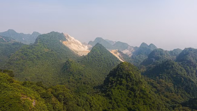 Từ năm 2005, một số công ty được cấp phép cho khai thác đá tại khu vực rừng Kim Bảng. Diện tích rừng sau đó bị thu hẹp, ảnh hưởng tới môi trường sống của các loài động vật. Ảnh: N.Đ