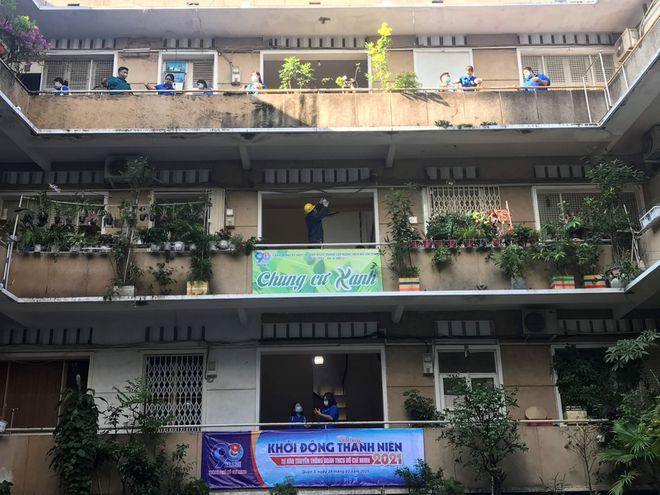 Công trình "Chung cư xanh" tại chung cư 67 Phạm Ngọc Thạch, P.Võ Thị Sáu (Q.3), do các thanh niên tình nguyện thực hiện - Ảnh: Lê Thanh Công trình