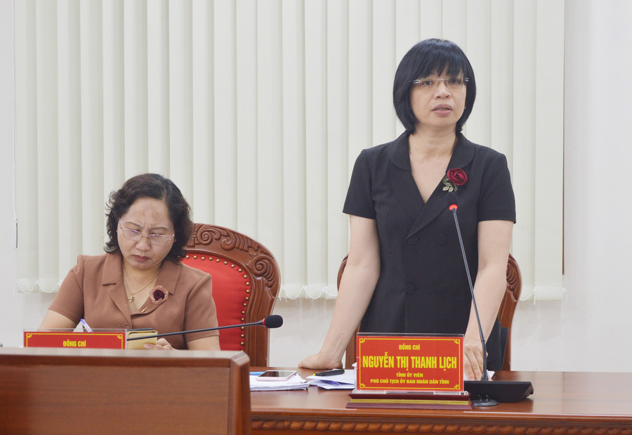 Phó Chủ tịch UBND tỉnh Nguyễn Thị Thanh Lịch phát biểu tại buổi làm việc. Ảnh: Phương Dung