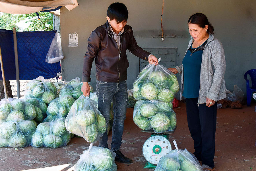 Hiện nay, nông hội sản xuất rau an toàn với 10 thành viên. Theo Anh Trần Văn Nhàn, chủ nhiệm nông hội đánh giá, khi tham gia mô hình, sau khi trừ chi phí đầu tư, bình quân mỗi hộ gia đình thu về từ 120-150 triệu đồng/ha/năm.