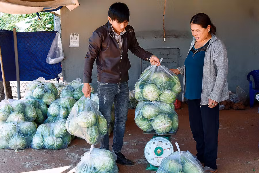 Hiện nay, nông hội sản xuất rau an toàn với 10 thành viên. Theo Anh Trần Văn Nhàn, chủ nhiệm nông hội đánh giá, khi tham gia mô hình, sau khi trừ chi phí đầu tư, bình quân mỗi hộ gia đình thu về từ 120-150 triệu đồng/ha/năm.