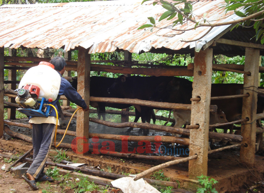 Phun hóa chất tiêu độc, khử trùng. Ảnh: Nguyễn Hồng