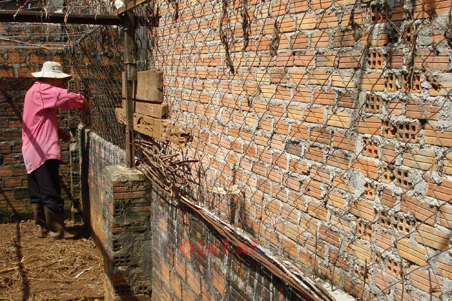 Ảnh: Như Nguyện