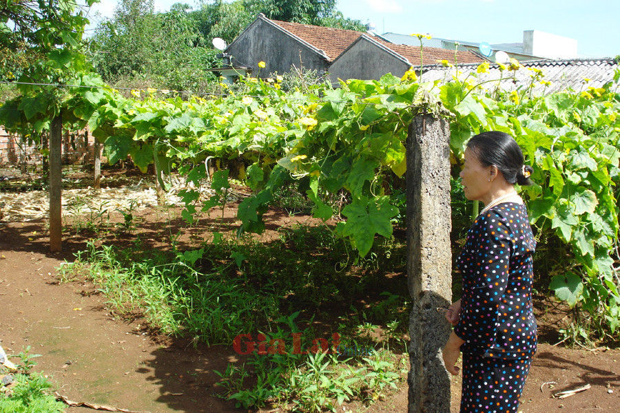 Người dân lại lo vườn tược bị ngập lụt khi mùa mưa đến. Ảnh: N.N