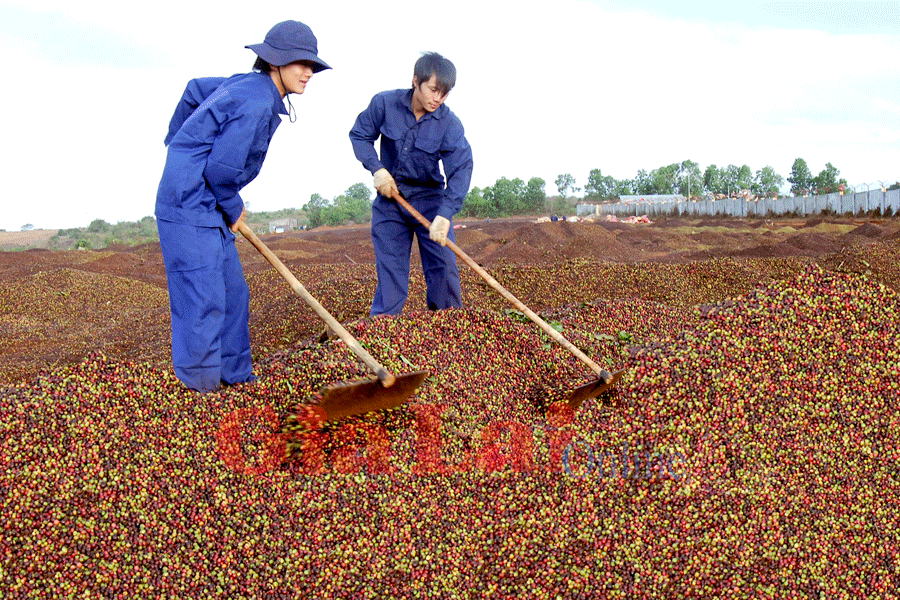 Ảnh: Đức Thụy Ảnh: Đức Thụy