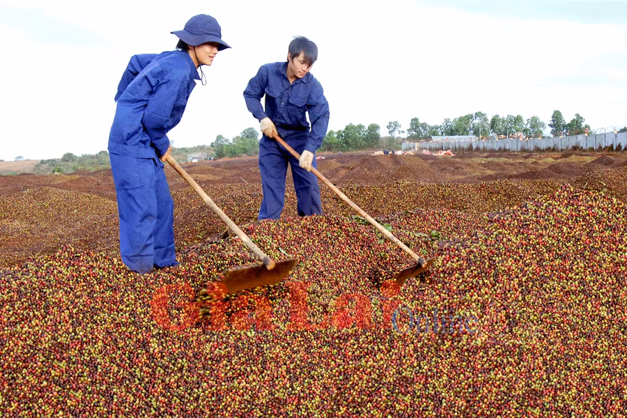 Ảnh: Đức Thụy