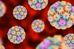 HPV có tới 150 chủng