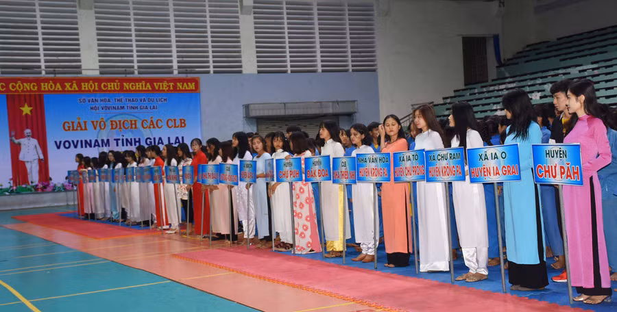 26 CLB Vovinam trên địa bàn tỉnh tham gia tranh tài tại giải. Ảnh: Hà Phương