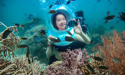 Khung cảnh hiện ra trước mắt bạn với vẻ đẹp muôn màu của các loài san hô cùng đàn cá tự nhiên bơi lội.