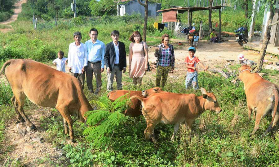  Nhờ được hỗ trợ cây trồng, vật nuôi phù hợp, nhiều hộ nghèo trên địa bàn huyện Chư Pưh đã thoát nghèo. Ản: Đ.Y