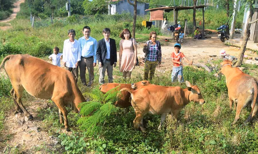  Nhờ được hỗ trợ cây trồng, vật nuôi phù hợp, nhiều hộ nghèo trên địa bàn huyện Chư Pưh đã thoát nghèo. Ản: Đ.Y