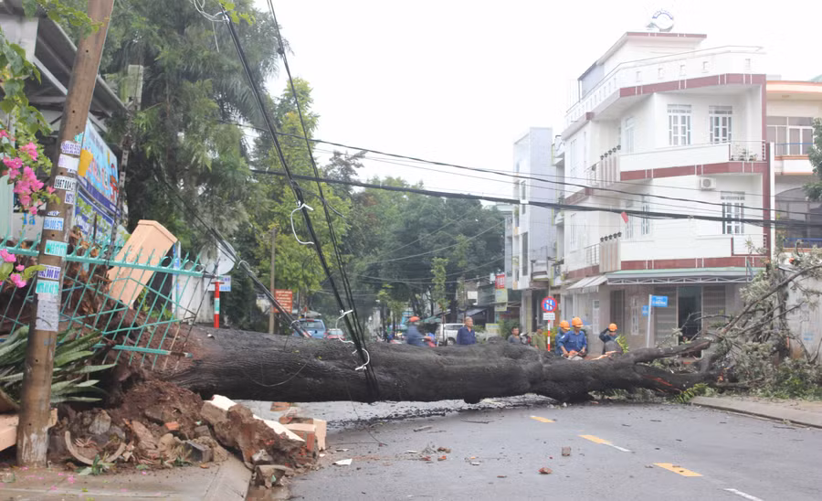 Trụ điện ngã đổ do cây xanh khác bật gốc. Ảnh: Nguyễn Diệp