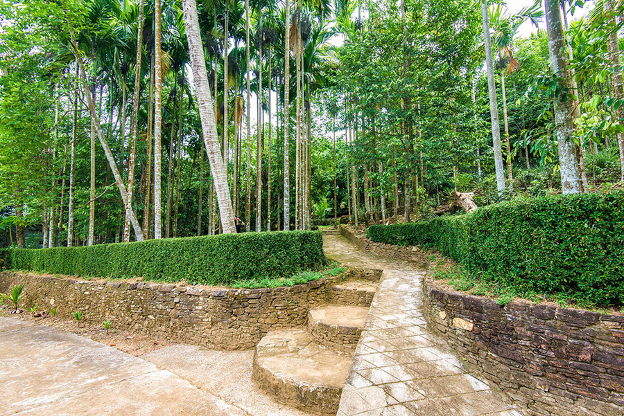 Lối vào một ngôi nhà cổ ở Lộc Yên sâu hun hút với lối đi bằng đá ẩn mình bên hàng cau cao vút.