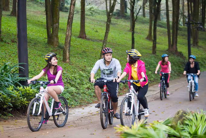 Du khách cũng có thể đạp xe để khám phá khu rừng qua một số tuyến đường đã trải bê-tông.