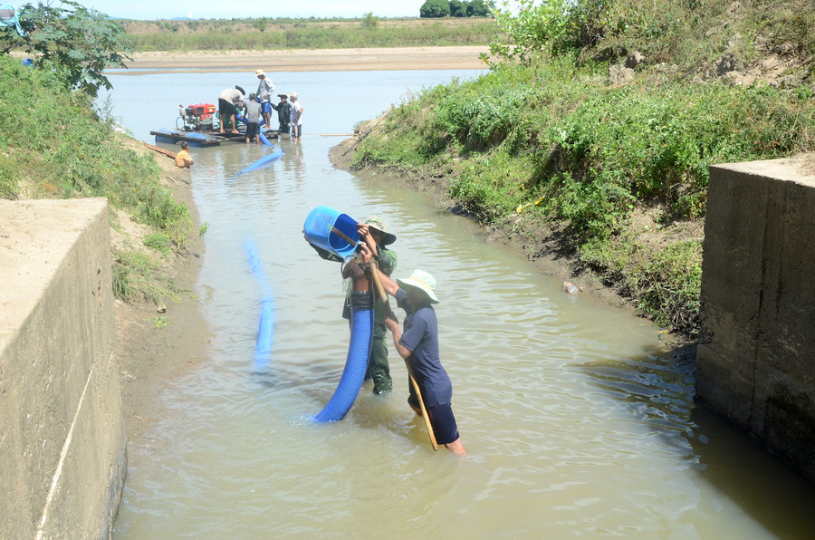  Hợp tác xã Chư Mố huy động thành viên nạo hút cát dẫn dòng vào trạm bơm Chư Mố 2 cứu 64 ha lúa đang khô hạn. Ảnh: Đ.P