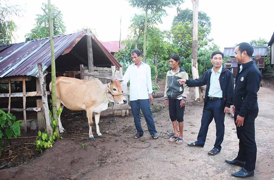  Gia đình ông Y Đa (làng Bông Pim, xã Đak Jơ Ta, huyện Mang Yang) là một trong những hộ được Quỹ “Vì người nghèo” của tỉnh hỗ trợ bò giống. Ảnh: M.N