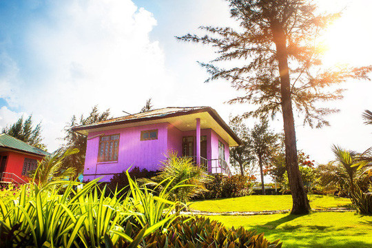 Các căn bungalow ẩn mình dưới những rặng dừa, phía trước là biển và phía sau là rừng phượng