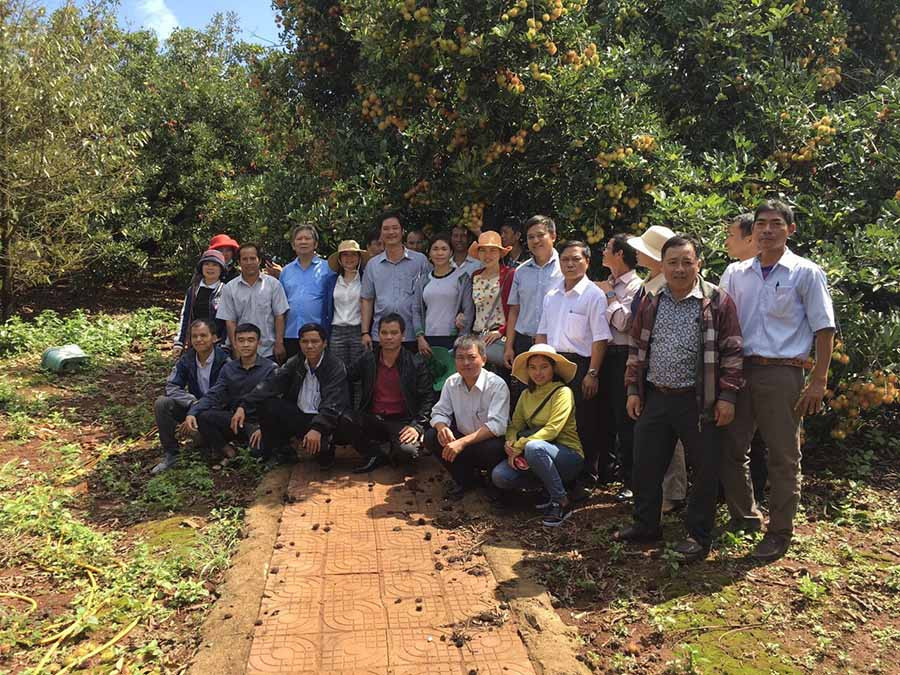  Du khách tham quan và chụp ảnh lưu niệm tại vườn chôm chôm ở xã Ia Tô (huyện Ia Grai). Ảnh: PHƯƠNG LINH