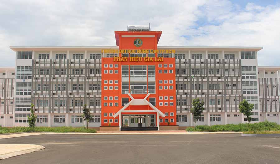 Phân hiệu Trường Đại học Nông lâm TP.Hồ Chí Minh tại Gia Lai được xây dựng khang trang với quy mô 1.400 sinh viên. ảnh N.G