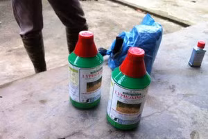 Ảnh minh họa (nguồn internet)