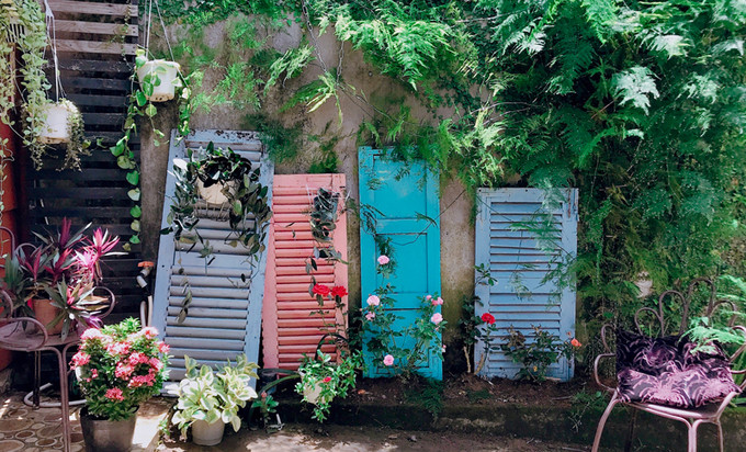 Nữ nhà văn ao ước có ngôi nhà của mình từ rất sớm. Cơ hội đến vào 4 năm trước, khi cô tìm mua được mảnh đất ưng ý với giá chỉ 180 triệu đồng cho 65 m2, nằm trong một ngõ cụt. Thường với diện tích này, người ở đây sẽ dành toàn bộ xây nhà, nhưng Phi Tuyết chỉ xây 3/4 diện tích, còn lại làm vườn.