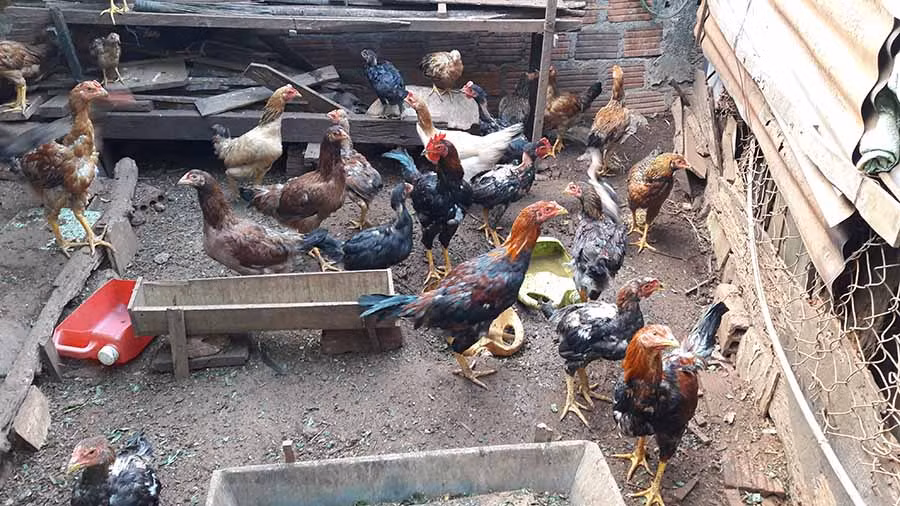 Ảnh: Lương Thanh