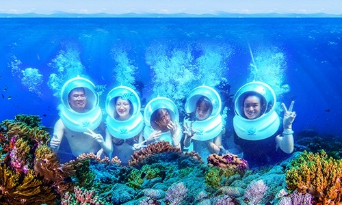 Dưới độ sâu 5-6 mét so với mặt nước biển là mỏm đá nhô cao, vách san hô dựng đứng cùng hơn 200 loài san hô cứng mềm... sinh sống.