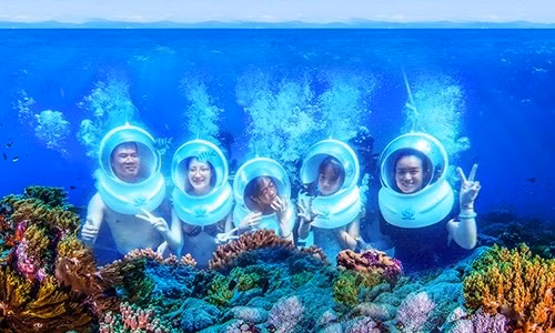 Dưới độ sâu 5-6 mét so với mặt nước biển là mỏm đá nhô cao, vách san hô dựng đứng cùng hơn 200 loài san hô cứng mềm... sinh sống.