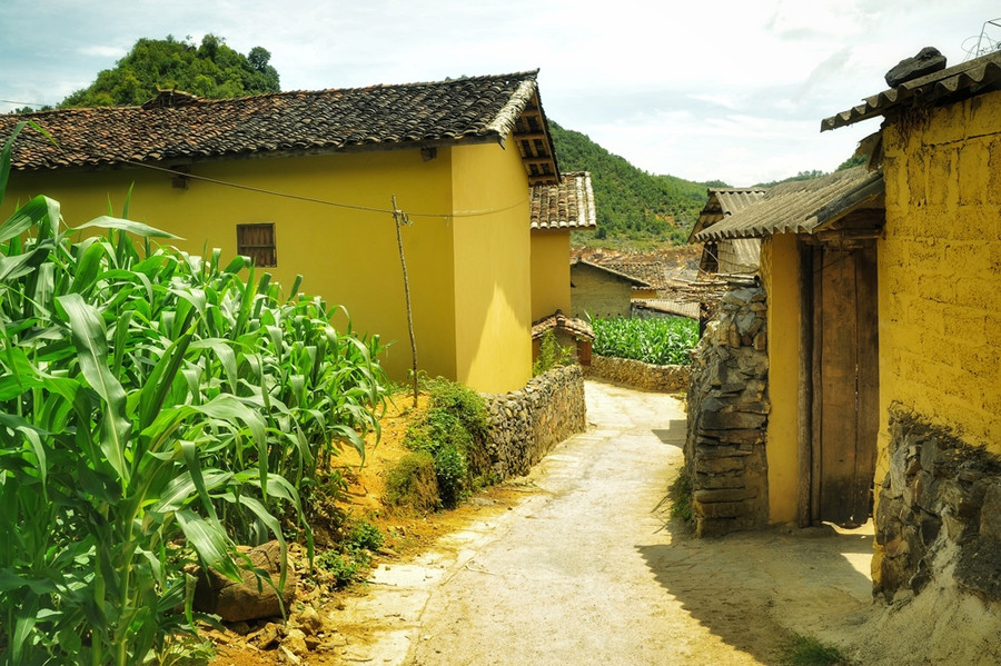  Các homestay được thiết kế, sang sửa lại từ chính nền tảng sẵn có của những ngôi nhà cổ của người Lô Lô: từ vách, tường theo kiến trúc trình tường đắp đất, đến mái âm dương xưa cũ, tường rào đá.