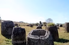  Cánh đồng Chum Xiengkhoang. (Ảnh: Phạm Kiên/Vietnam+)