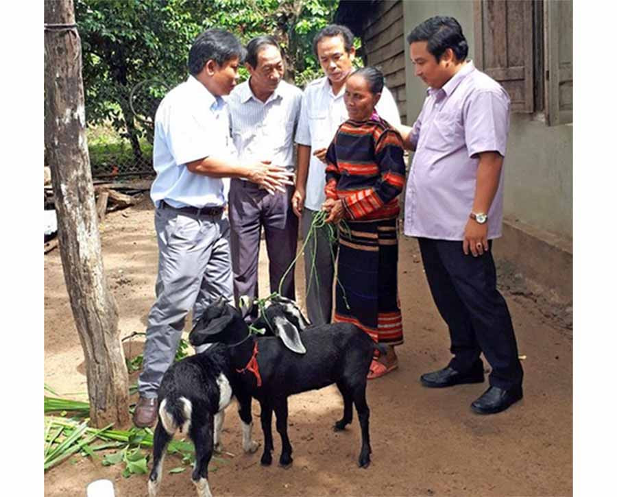  Trung tâm Giáo dục nghề nghiệp-Giáo dục thường xuyên huyện Krông Pa tặng cặp dê sinh sản giúp gia đình bà Rah Lan HPlunh (xã Ia Rsươm) phát triển kinh tế. Ảnh: L.N