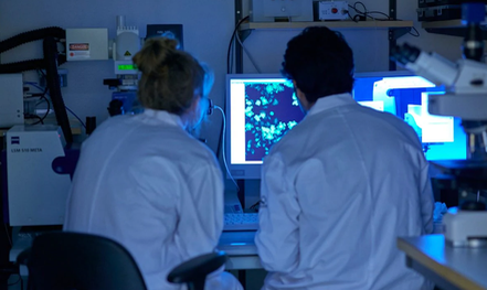 Các nhà khoa học tại phòng thí nghiệm - ảnh do nhóm nghiên cứu cung cấp