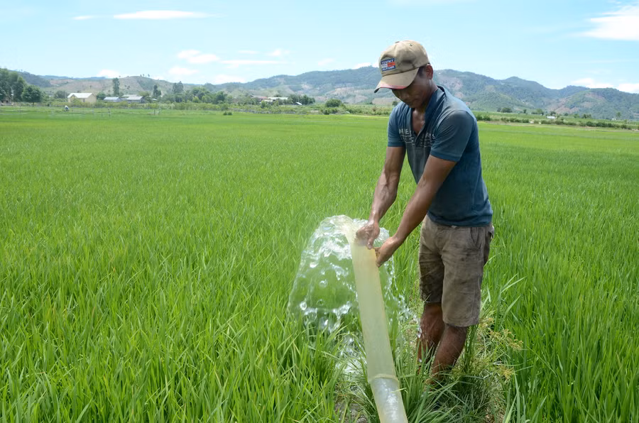 Anh Rmah Tho ở làng Toan, xã Ia Kdăm tận dụng nước ao hồ để bơm tưới cho lúa