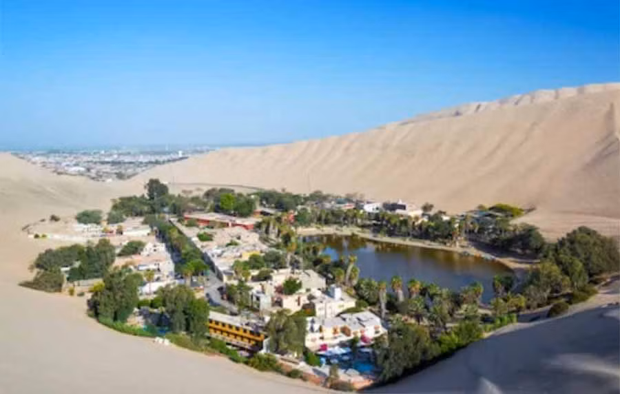 Ốc đảo rợp bóng cây. Ảnh: AOL.