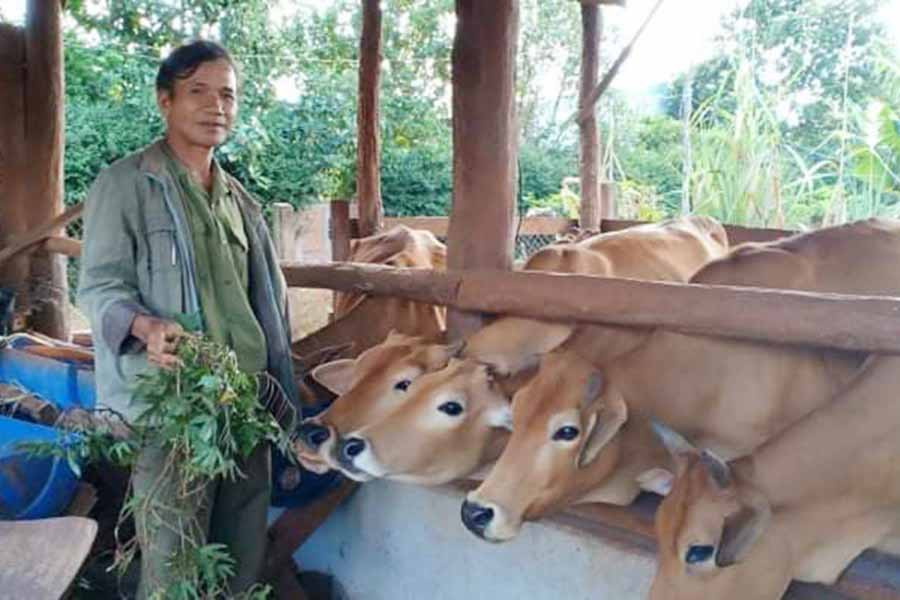 Dù đã gần 60 tuổi và bị mất một cánh tay nhưng ông Siu Gôk vẫn chăm chỉ lao động để làm gương cho các con noi theo. Ảnh: N.H  Dù đã gần 60 tuổi và bị mất một cánh tay nhưng ông Siu Gôk vẫn chăm chỉ lao động để làm gương cho các con noi theo. Ảnh: N.H