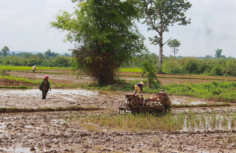 Hầu hết các công trình thủy lợi trên địa bàn tỉnh đều đảm bảo nhiệm vụ cấp nước cho sản xuất nông nghiệp. Ảnh: Hồng Thi