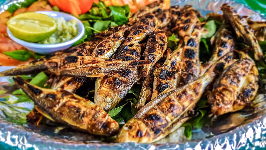 Cá niên sông Tiên, đặc sản không thể thiếu khi đi du lịch Tiên Phước. Cá niên sông Tiên, đặc sản không thể thiếu khi đi du lịch Tiên Phước.