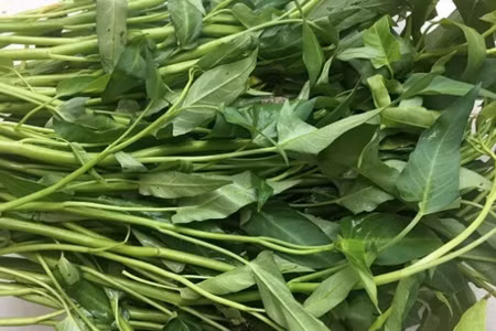 Rau muống. Ảnh: Cẩm Anh.