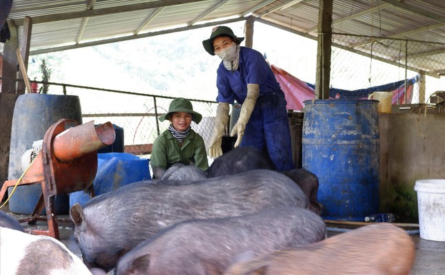 Những trí thức trẻ tình nguyện ở Đoàn 207. Ảnh: Nguyễn Thành Những trí thức trẻ tình nguyện ở Đoàn 207 Ảnh: Nguyễn Thành