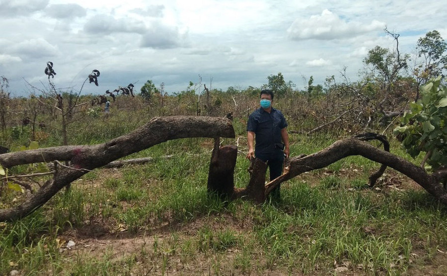 Một khoảnh rừng tại tiểu khu 202 (xã Ya Tờ Mốt) bị phá. Ảnh: T.C Một khoảnh rừng tại tiểu khu 202 (xã Ya Tờ Mốt) bị phá. Ảnh: T.C