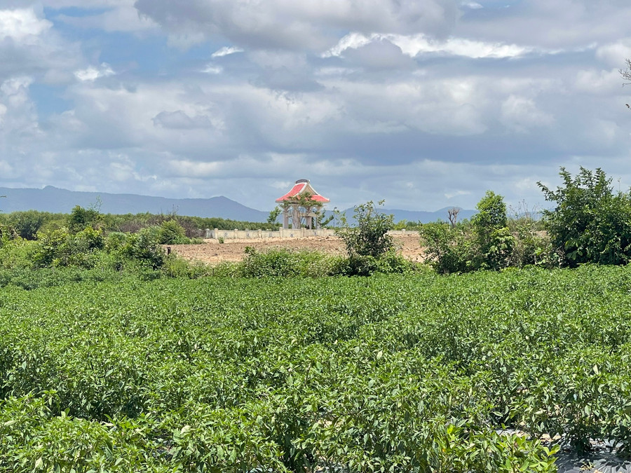 Làng Tân Lập ngày ấy giờ đã có biết bao đổi thay, màu xanh đã trở lại những nơi in hằn tàn tích đau thương. Ảnh: Minh Nguyễn
