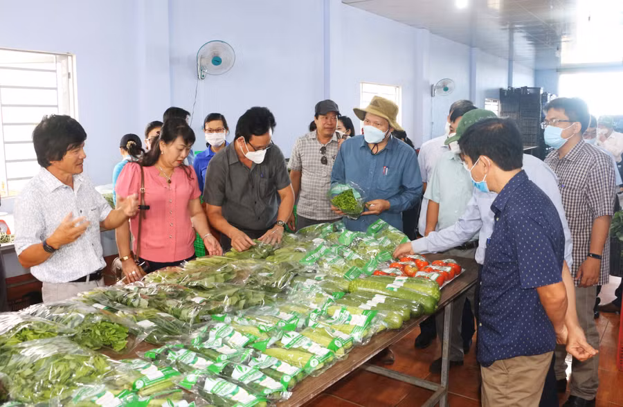 Đoàn giám sát đã đến khảo sát thực tế, năm tình hình sản xuất, kinh doanh của Công ty TNHH một thành viên Hương Đất An Phú. Ảnh: Quang Tấn